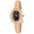 Christian Van Sant Women's Anora Black Dial Watch - CV4339